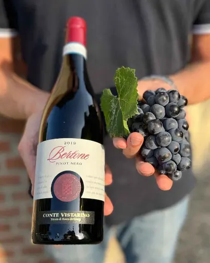 Italy, Lombardy, Conte Vistarino - The Pinot Noir Crus