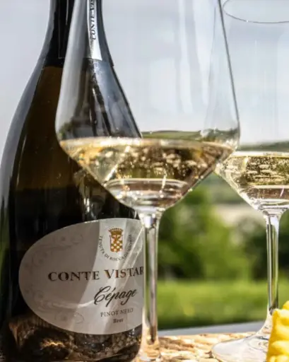 Italy, Lombardy, Conte Vistarino - Excellence tasting