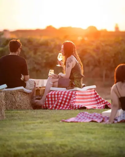 Italy, Sicily, Gorghi Tondi - Picnic Tasting