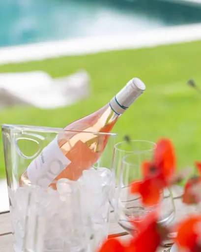 Italy, Veneto, Gorgo Winery - Exclusive Wine Tasting