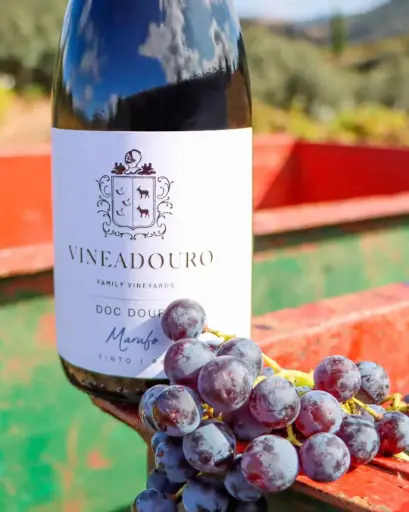 Portugal, Douro, Quinta Da Vineadouro - Lunch & Visit