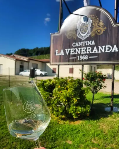 Italy, Umbria, La Veneranda -  Sant'Agostino - white wines tasting