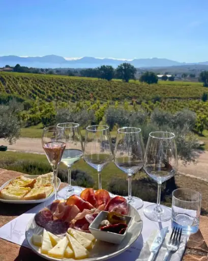 Italy, Umbria, Perticaia Winery - Classic Experience