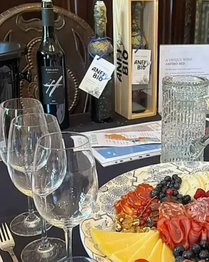 Portugal, Lisboa, Quinta Da Casaboa - Estate Tasting