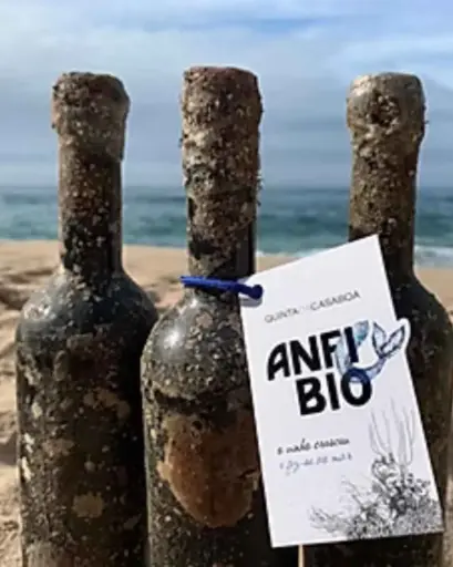 Portugal, Lisboa, Quinta Da Casaboa - Premium Tasting