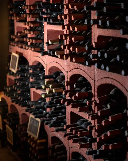 Portugal, Alentejo, Herdade Grande - Premium Tasting