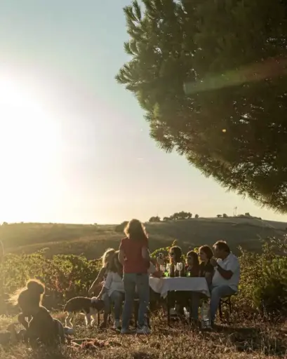 Portugal, Alentejo, Gerações Da Talha - Picnic In The Vineyard