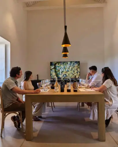 Chile, Colchagua Valley, Maquis Wines - Emblem Tour