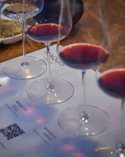 Chile, Colchagua Valley, Maquis Wines - Iconic Tour