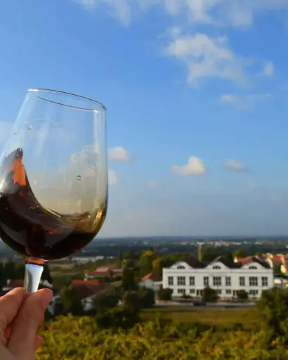 Portugal, Setubal, Quinta do Piloto - Visit & Tasting