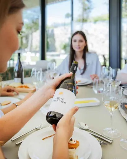 Portugal, Vinho Verde, A&D Wines - Quinta De Santa Teresa - Top Range Tour and Tasting