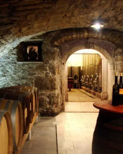 Slovenia, Vipava Valley, Urban Petrič - Tasting of 6 wines and a brandy with domestic cold meat platter