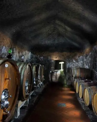 Italy, Tuscany, Sassotondo - Colours of Sassotondo