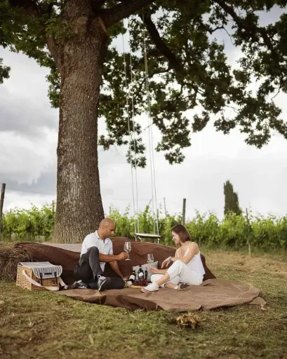 Italy, Tuscany, Pietraserena -Chic Nic with Tour of Vineyards and Cellar