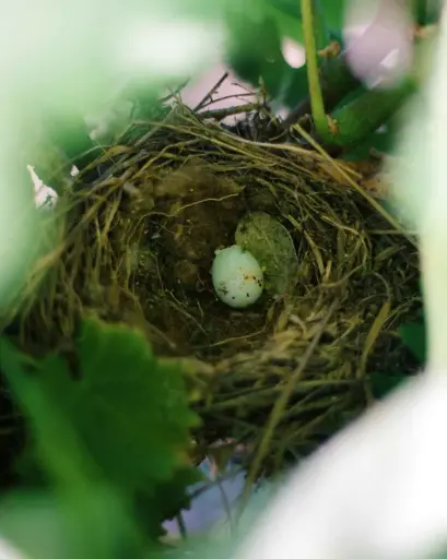 Portugal, Alentejo, Casa Relvas - Alentejo Biodiversity route