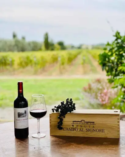 Italy, Tuscany, Tenuta Campo al Signore - The treasures of Tenuta Campo al Signore