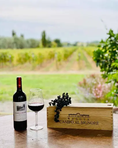 Italy, Tuscany, Tenuta Campo al Signore - "Driving Miss Daisy": Our DOC Bolgheri on 3 Wheels