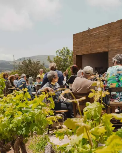 Greece, Crete,  Lyrarakis - Queens Wine Tasting