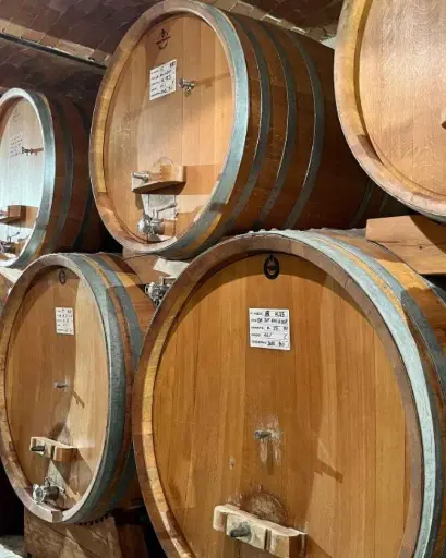 Italy, Piedmont, Massimo Rivetti - Tasting of 5 wines in the historic center of Neive