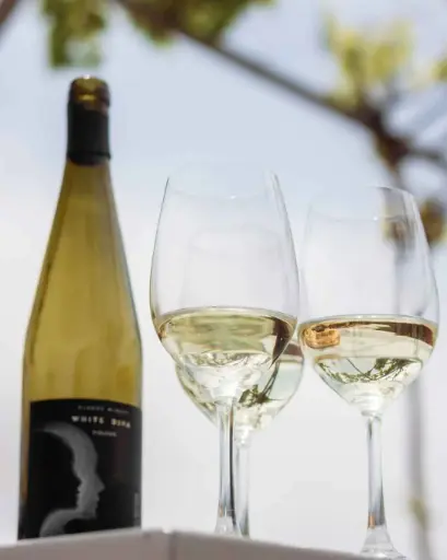 Greece, Crete, Klados Winery - Wine Tasting under the Pergola