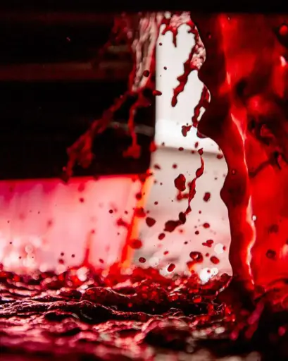 Italy, Umbria, Cantina Fratelli Pardi - Introduction To Pardi Wines