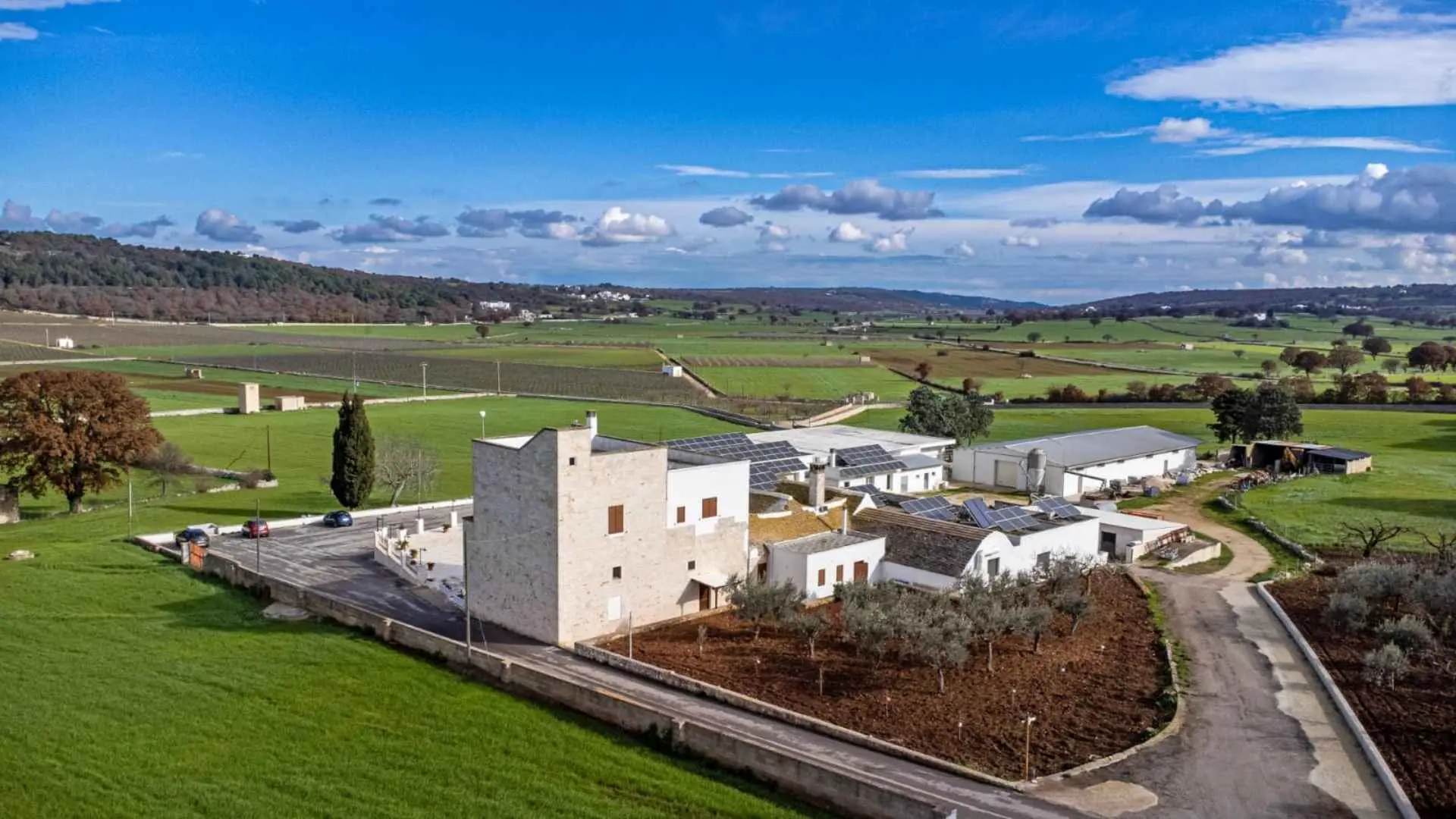 Cantina Masseria Torricella