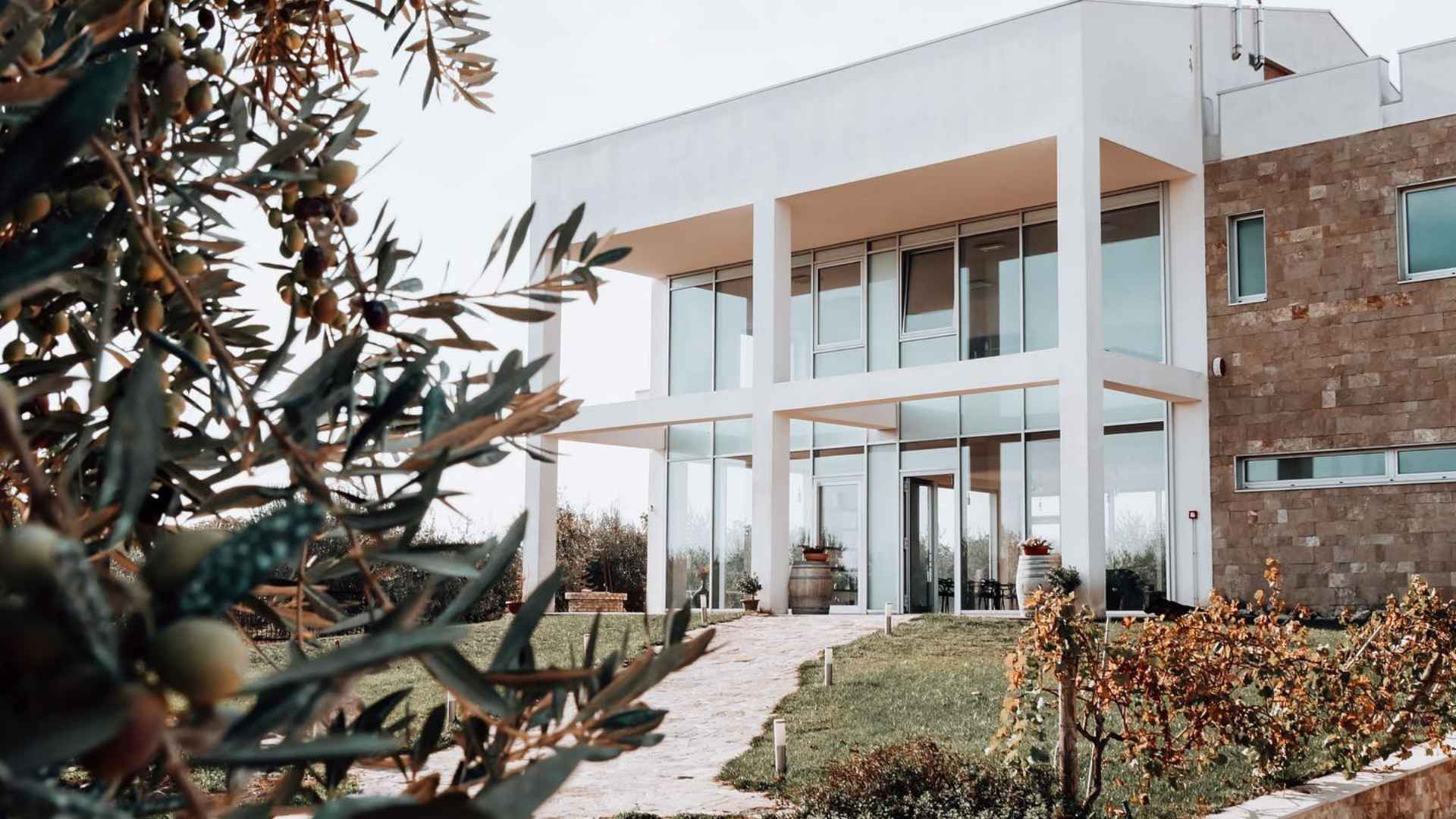 Sacco Vignaioli Apuli