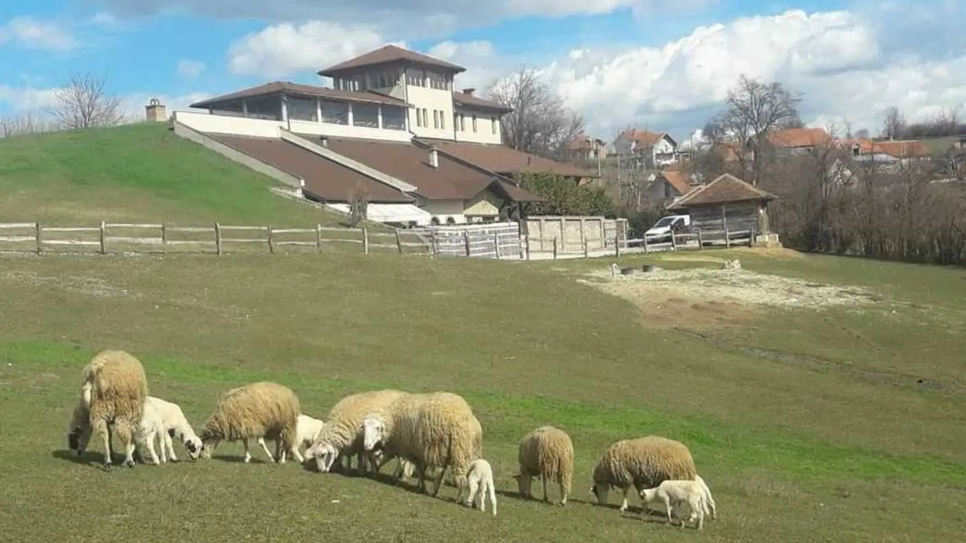 Milijan Jelic Winery