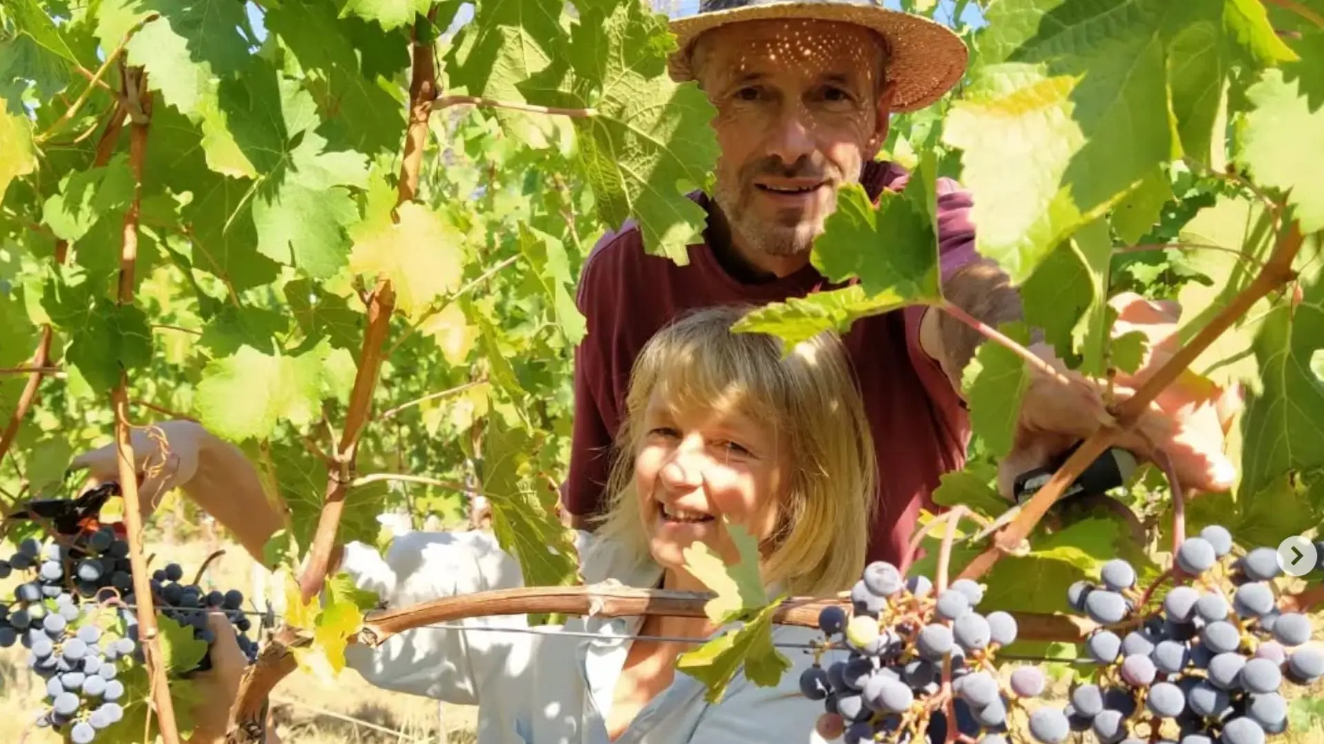 Wassmann Biodynamic natural wines Villány