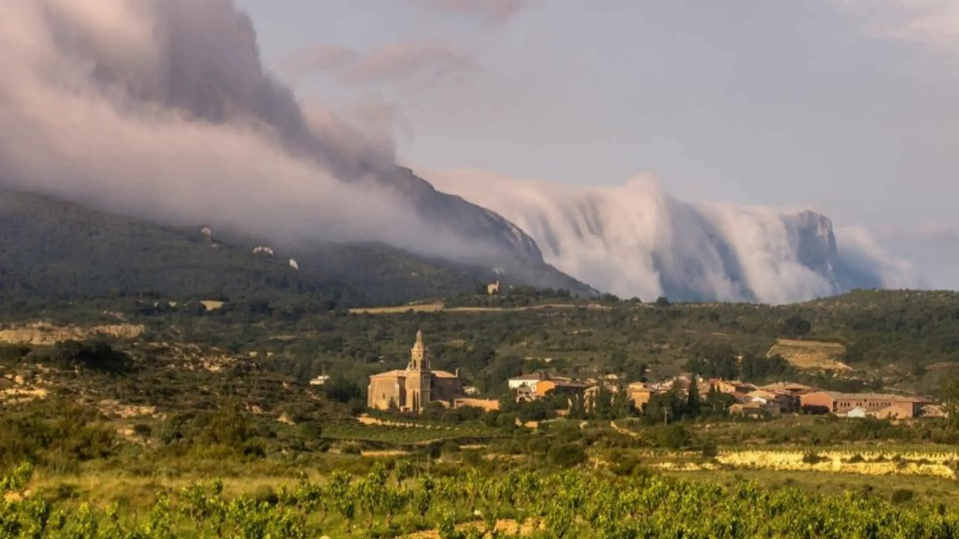 Bodegas Solana de Ramirez