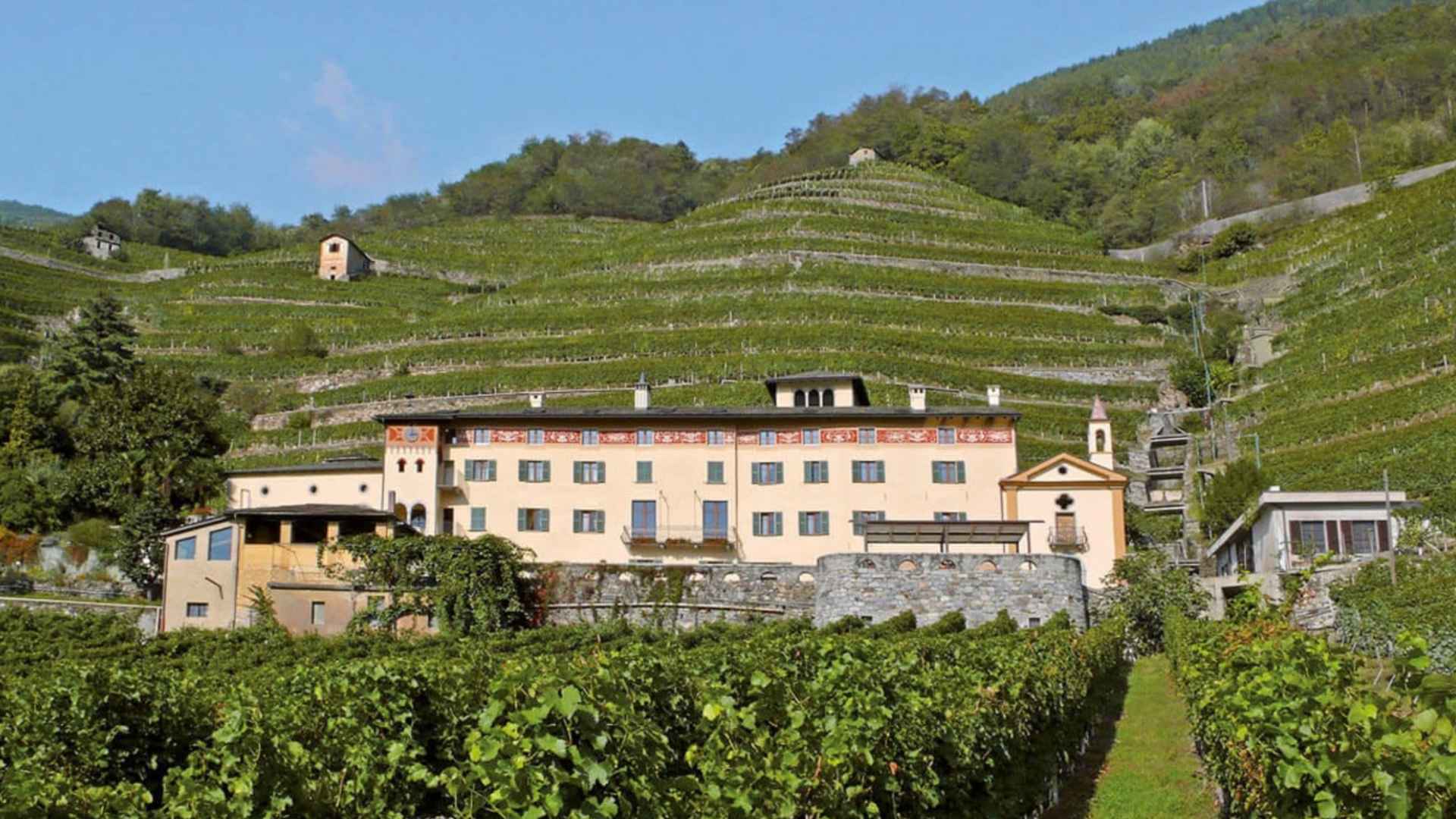 Casa Vinicola Triacca - Tenuta La Gatta