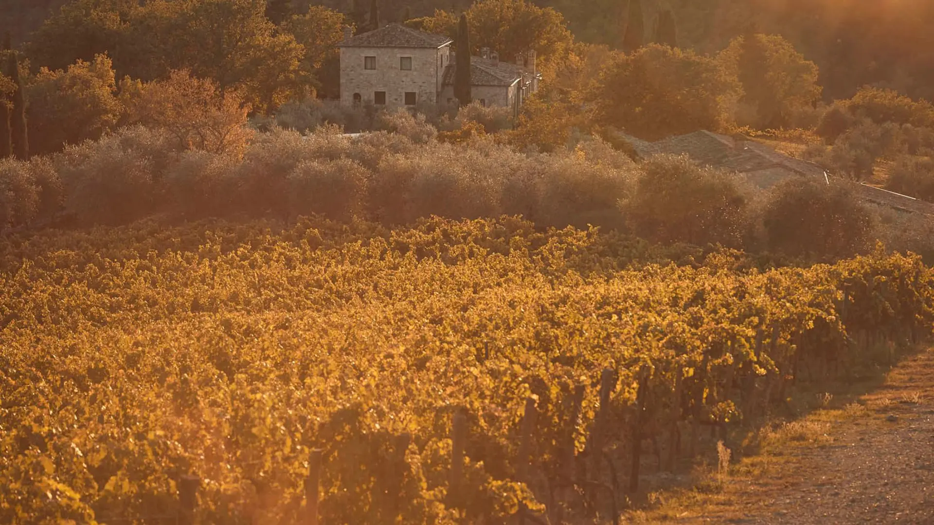 Chioccioli Altadonna - Family Estate
