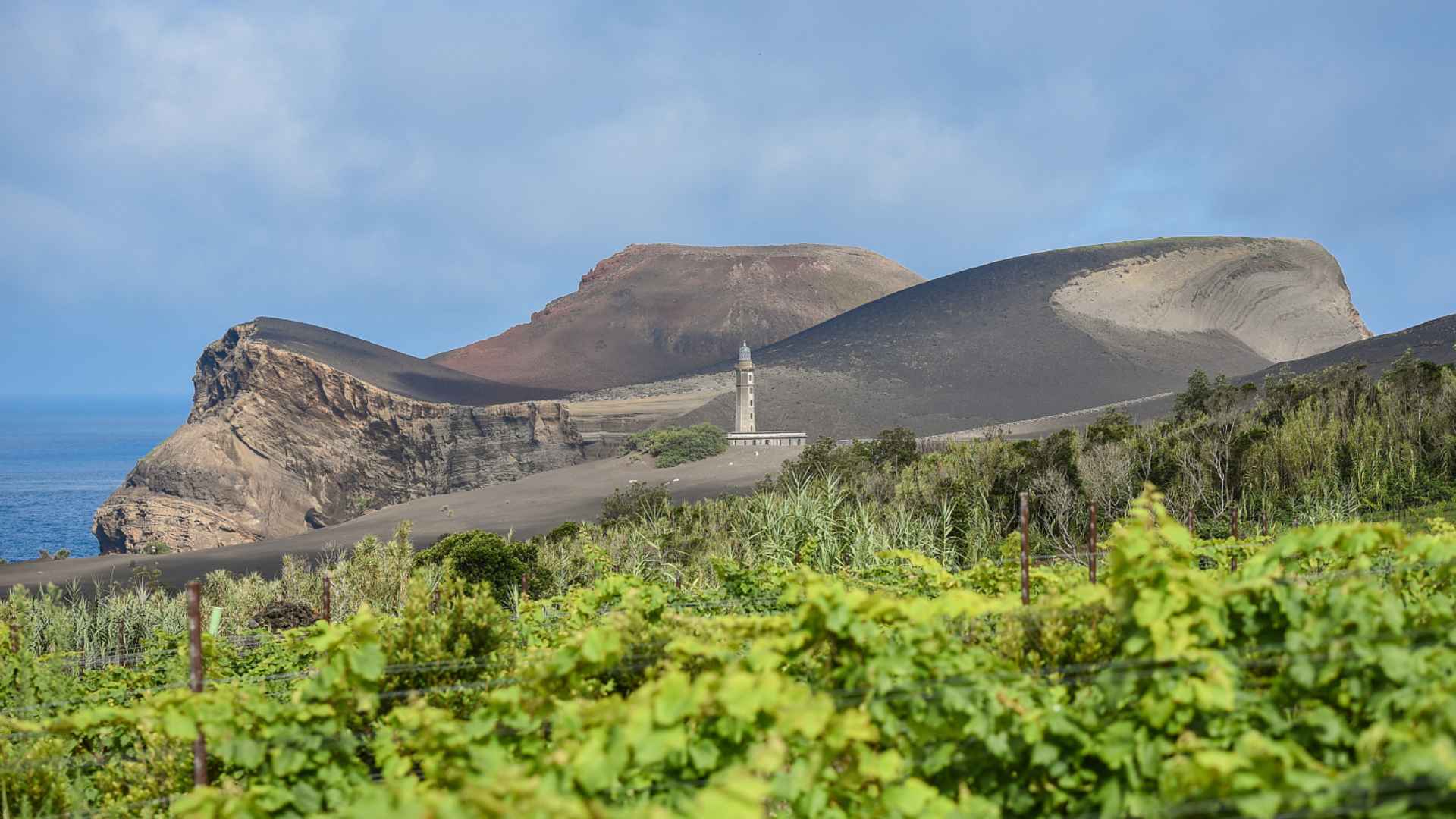 Adega do Vulcao - Adega dos Capelinhos, Faial